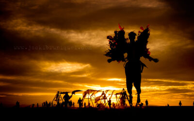 Afrika Burn 2014 – Tankwa