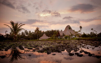 Bennu House – Pegeng – Ubud – Rice paddy