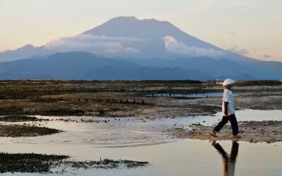 Indonesian Inspiration