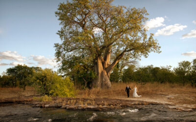 Do you ask the bride and groom to set aside a certain amount of time on their wedding day for a creative shoot?